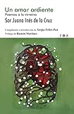 Un Amar Ardiente Poemas A La Virreina