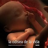 Imagen de portada de Amazon