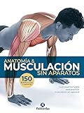 Anatoma Musculacin Sin Aparatos Deportes
