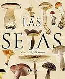 Imagen de portada de Amazon