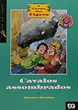 Imagem de capa da Amazon