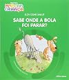 Sabe onde a bola foi parar?