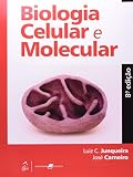 Imagem de capa da Amazon
