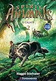 Imagem de capa da Amazon