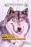 Imagem de capa da Amazon