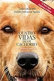Imagem de capa da Amazon