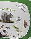 Imagem de capa da Amazon