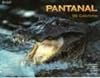 Brasil : Panatanal 100 Colorfotos