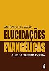 Elucidações evangélicas à luz da doutrina espírita