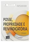 Posse, Propriedade e Reivindicatória