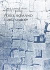 Foro romano: Larea centrale