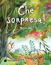 Che sorpresa! Ediz. a colori