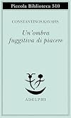 Un'ombra fuggitiva di piacere
