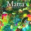 Matta: On the Edge of a Dream