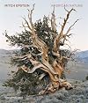 Mitch Epstein: American Nature