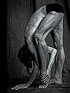 Matthew Brookes: Les Danseurs