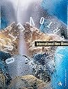 International New Glass