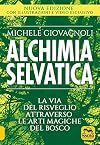 Alchimia selvatica: la via del risveglio attraverso le arti magiche del bosco