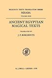 Ancient Egyptian Magical Texts