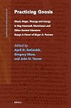Practicing Gnosis: Ritual, Magic, Theurgy and Liturgy in Nag Hammadi, Manichaean and Other Ancient Literature. Essays in Honor of Birger A. Pearson (Nag Hammadi and Manichaean Studies)