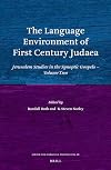 The language environment of first century Judaea : Jerusalem studies in the Synoptic gospels