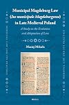 Municipal Magdeburg Law (Ius municipale Magdeburgense) in Late Medieval Poland: A Study on the Evolution and Adaptation of Law: 30 (Medieval Law and Its Practice)