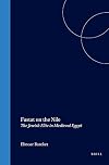 Fustat on the Nile: The Jewish Elite in Medieval Egypt (Medieval Mediterranean: Peoples, Economies and Cultures, 400-1500)