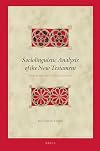 Sociolinguistic Analysis of the New Testament Theories and Applications (Biblical Interpretation)