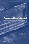 Essays on Marx's Capital (Historical Materialism Book, 309)