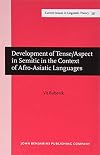 Development of Tense/Aspect in Semitic in the Context of Afro-Asiatic Languages (Current Issues in Linguistic Theory)