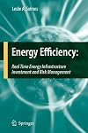 Energy Efficiency Real Time Energy Infrastructure Investment and Risk Management