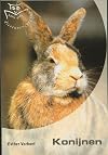 THE WORLD OF THE RABBIT