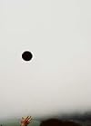 The Black Hole