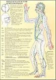 Points D'acupuncture Symptomatiques