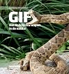 Gif het dodelijkste wapen in de natuur