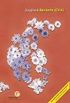 Zorgboek Beroerte (CVA) [Boek]