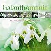 Galanthomania sneeuwklokjes = snowdrops