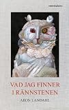 Vad jag finner i rännstenen
