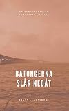 Batongerna slår nedåt : en berättelse om brottsbekämpning