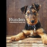 Omslagsbild från Amazon