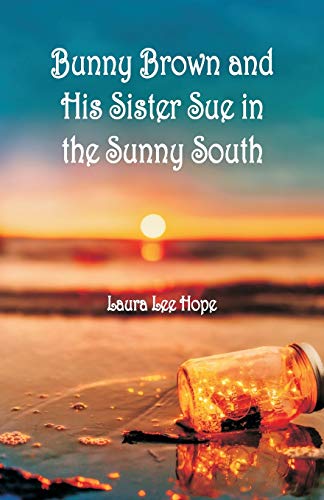 Bunny Brown and His Sister Sue in the Sunny South book cover
