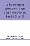 A critical and exegetical commentary on the book of Job, together with a new translation (Volume II)