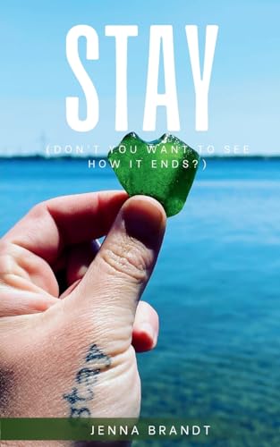 Stay book cover