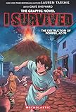 I Survived Graphic Novel #10: The Destruction Of Pompeii Ad 79
