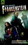 Frankenstein: The Graphic Novel (Campfire Graphic Novels)