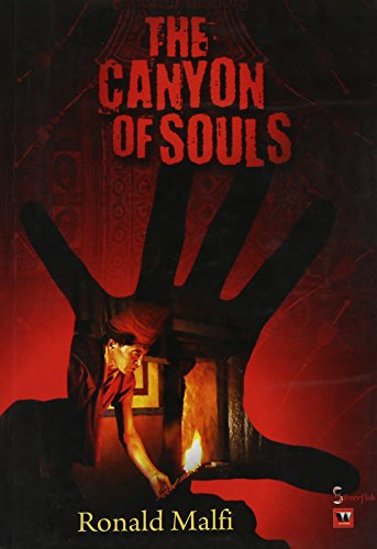 The Canyon Of Souls book cover