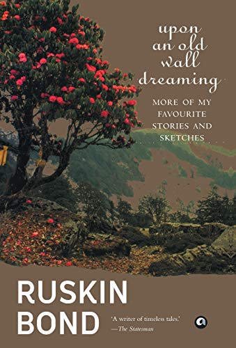 Upon an Old Wall Dreaming book cover