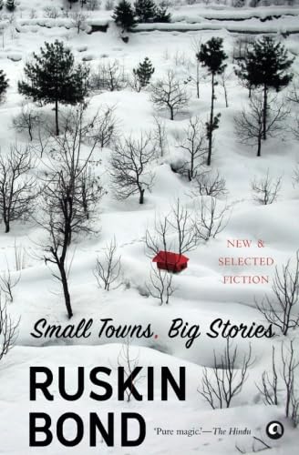 Small Towns, Big Stories book cover