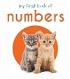 My First Book of Numbers