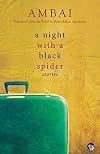 A Night with a Black Spider